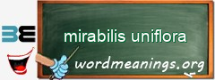 WordMeaning blackboard for mirabilis uniflora